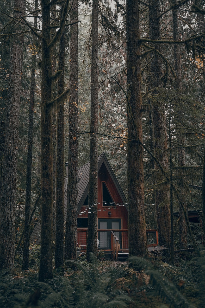 house, forest, green-4598908.jpg